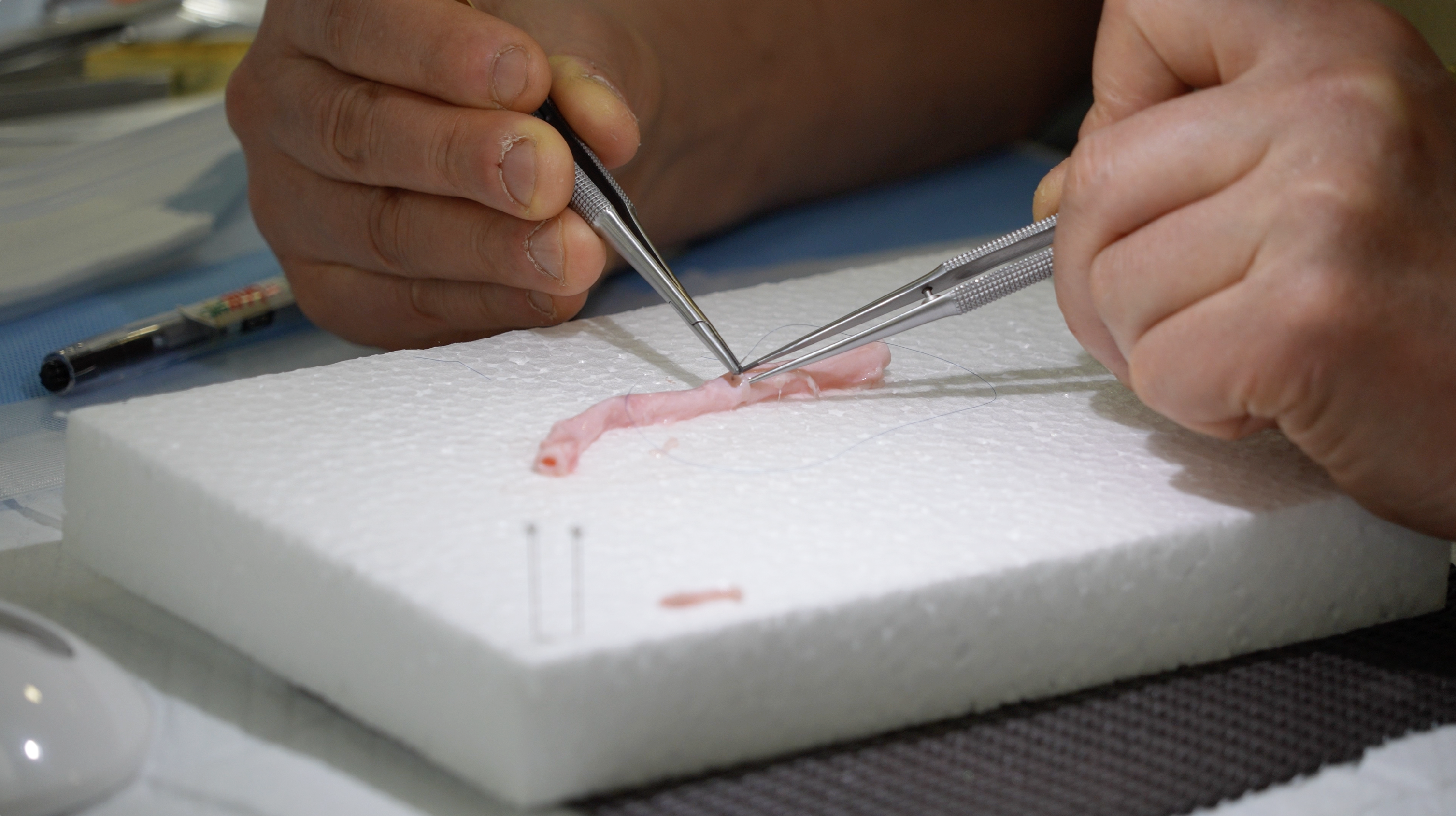 学習サポート セクション1 01